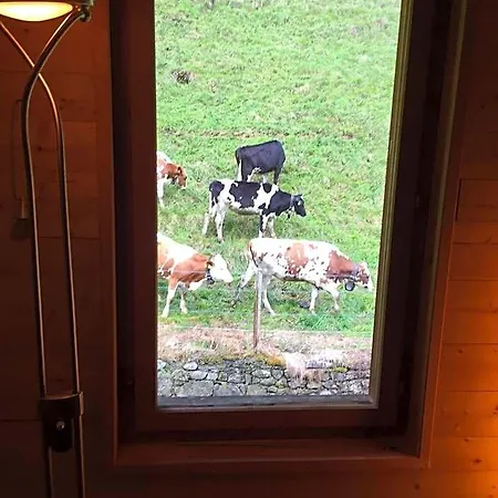 Spacious Swiss Alpine For Nature Lovers Bed & Breakfast