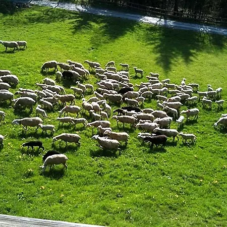 Spacious Swiss Alpine For Nature Lovers Bed & Breakfast Val d'Illiez
