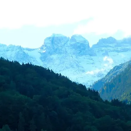 Spacious Swiss Alpine For Nature Lovers