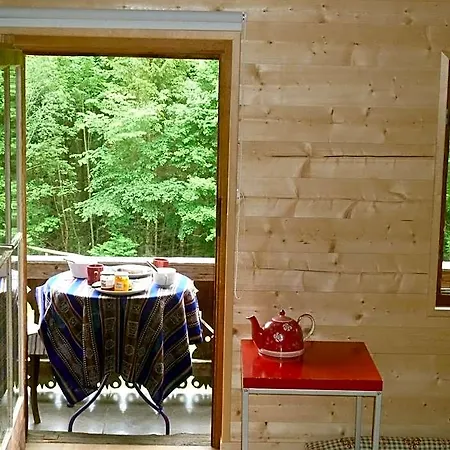 Spacious Swiss Alpine For Nature Lovers לינה וארוחת בוקר