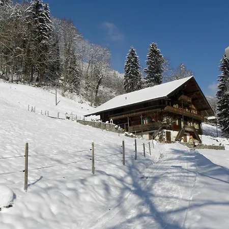 Spacious Swiss Alpine For Nature Lovers Bed & Breakfast