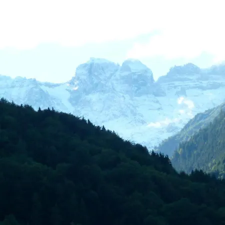Spacious Swiss Alpine For Nature Lovers *
