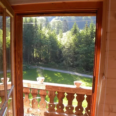 Spacious Swiss Alpine For Nature Lovers 3* ヴァル＝ディリエ