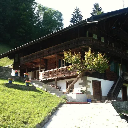 Spacious Swiss Alpine For Nature Lovers