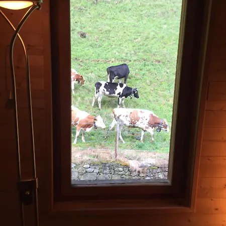 Spacious Swiss Alpine For Nature Lovers 3* Val dʼIlliez