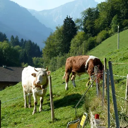 לינה וארוחת בוקר Spacious Swiss Alpine For Nature Lovers