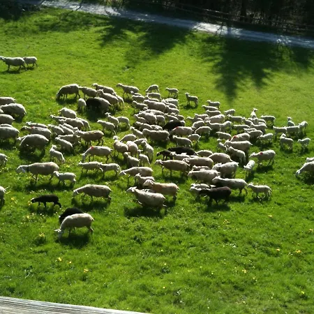Frühstückspension La Renarde Val dʼIlliez
