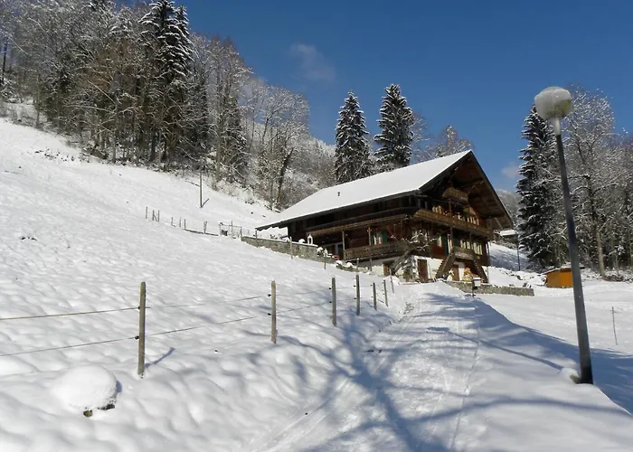 Spacious Swiss Alpine For Nature Lovers B&B