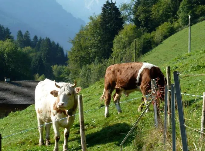 B&B Spacious Swiss Alpine For Nature Lovers