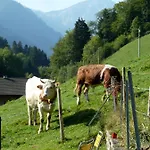 Panzió Spacious Swiss Alpine For Nature Lovers