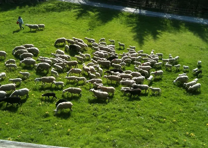 Bed and Breakfast Spacious Swiss Alpine For Nature Lovers Val dʼIlliez